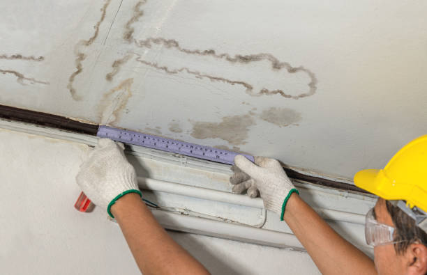 Reliable Water Damage contractor in Williamsport, IN by Water Damage Irwin